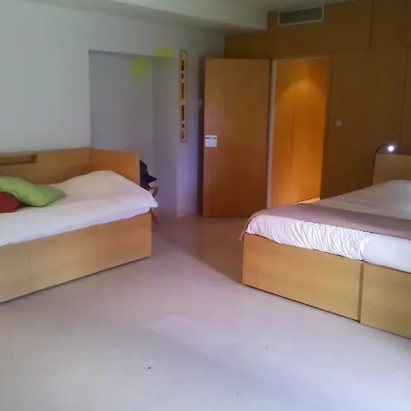 Chateau De Salettes מלון 4*