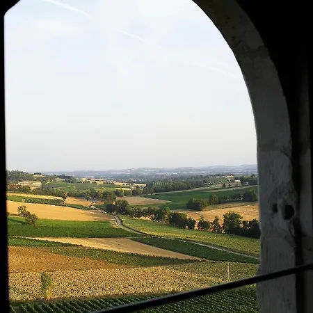 Chateau De Salettes מלון